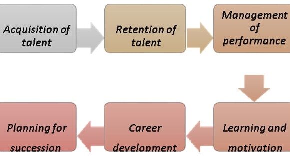 Strategy for employee talent planning