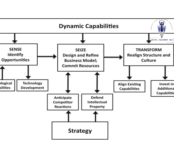 Literature Review