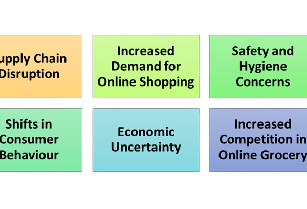 Data Analysis and Findings