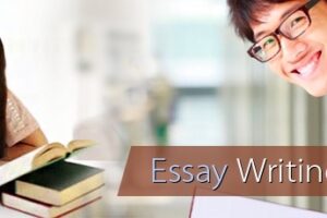 Essay Writing Service