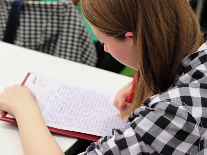 Best Online Essay Writing Help