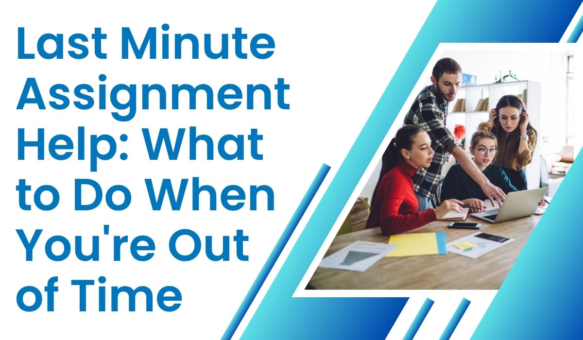 Last Minute Assignment Help